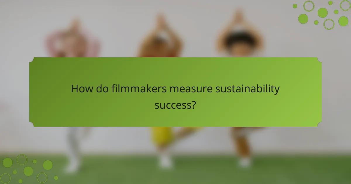 How do filmmakers measure sustainability success?